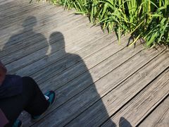 -成都市活水公园