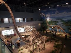 -自贡恐龙博物馆