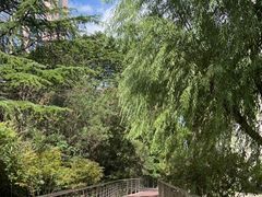 -黄兴公园