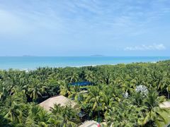 -三亚湾海居铂尔曼度假酒店