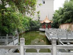 -金孔雀温泉旅游度假村