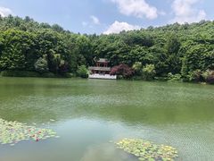 -岳麓山风景名胜区