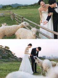 -花漾摄影优选工作室(东莞原创作品店)