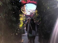 -The Grounds of Alexandria