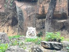 -杭州野生动物世界