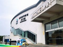 -米开朗冰淇淋博物馆