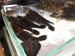 -Ministry of Crab(科伦坡店)