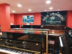 -柏斯琴行(汾阳店)