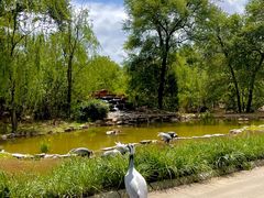 -北京野生动物园