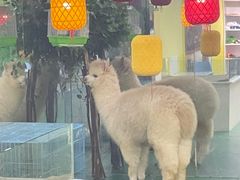 -武汉5D星空错觉艺术馆(中心百货店)