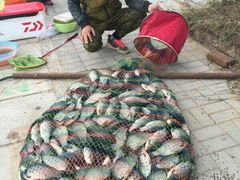 -月河湾马术俱乐部(朝阳店)