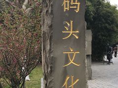 -武汉两江游览·夜游长江(汉口粤汉码头)