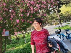 -东北大学(南湖校区)