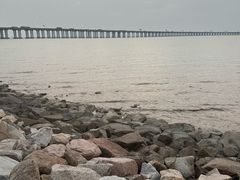 -宝安西湾红树林湿地公园