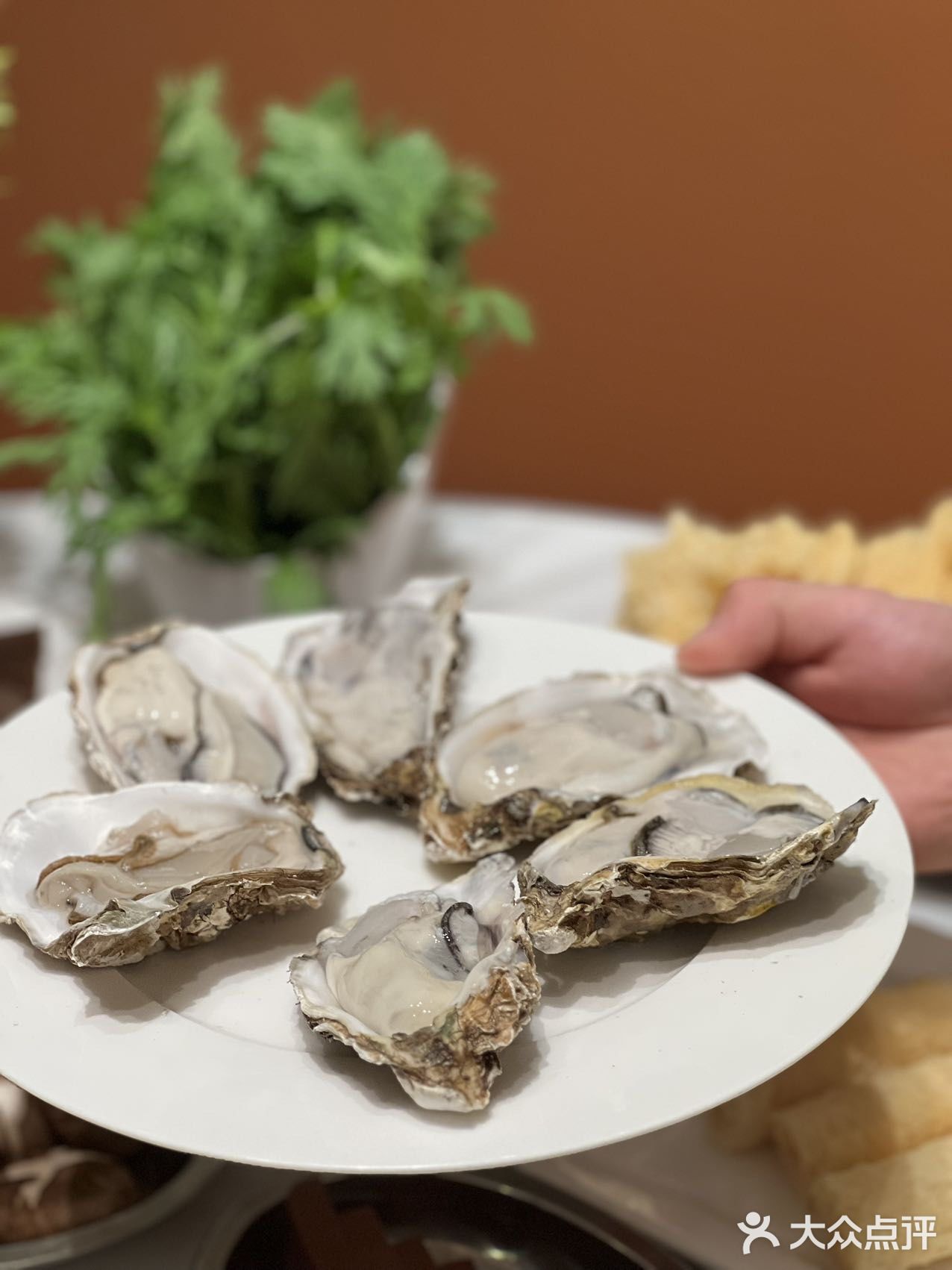 哇，大家听说了吗？！🉑️