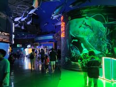 -烟台海昌鲸鲨海洋公园