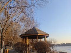 -丁香湖公园