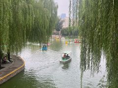 -团结湖公园