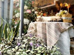 -花十悦·鲜花咖啡餐厅(振业城一期店)