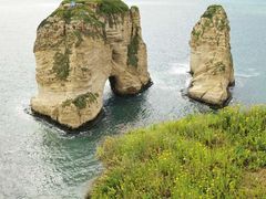 -御梁坊红糖馒头