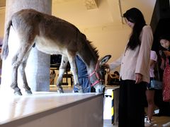 -北京三里屯CHAO酒店