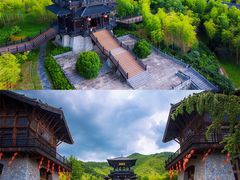 -大唐贡茶院