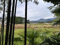 -塔川景区