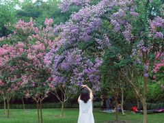 -杭州城北体育公园