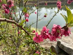 -眉山湿地公园(东坡区)