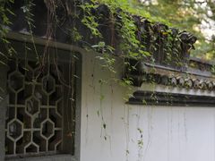 -杭州植物园