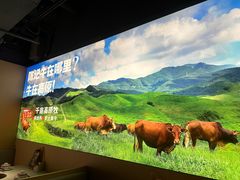 -陈记顺和潮汕鲜牛肉火锅(西门口广场店)