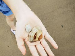 -那香海钻石沙滩浴场