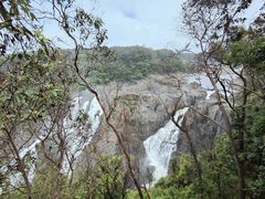 -热带雨林自然公园