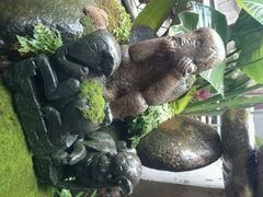 android_upload_pic-爪哇空气酒吧