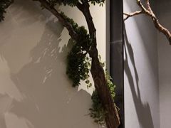 -上足·影院足道·SPA(红岭店)
