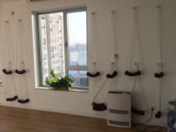 -酉嘉瑜伽YO+YOGA