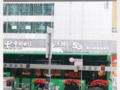 -中国电信(东门营业厅)