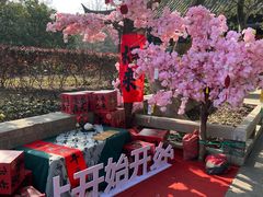 -常熟方塔园