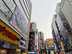 -秋叶原电器街