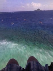 -翱翔飞越地平线