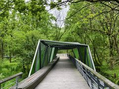 -西湖风景区-江洋畈生态公园
