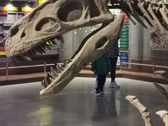 -自贡恐龙博物馆