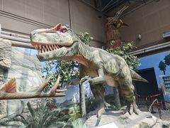 -国家自然博物馆