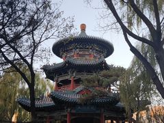 -迎泽公园