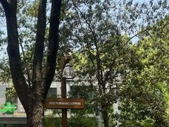 -共青国家森林公园-售票处