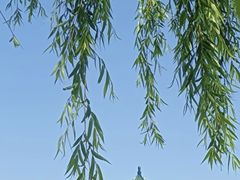 -莱西月湖公园