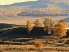 -塞罕坝国家级自然保护区