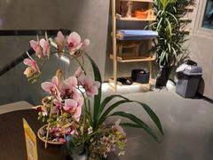 -施奈儿.洗头頭療.按摩SPA.采耳(上梅林店)