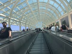 -木乃伊复仇过山车