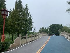 -眉山湿地公园(东坡区)